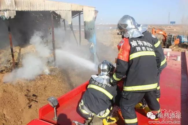 榆林一奶牛场彩钢房草料仓库着火消防紧急救援(图1)