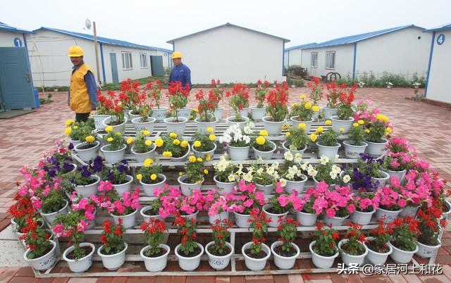 甘南支队全面开展泡沫彩钢板建筑消防安全专项整治行动(图11)