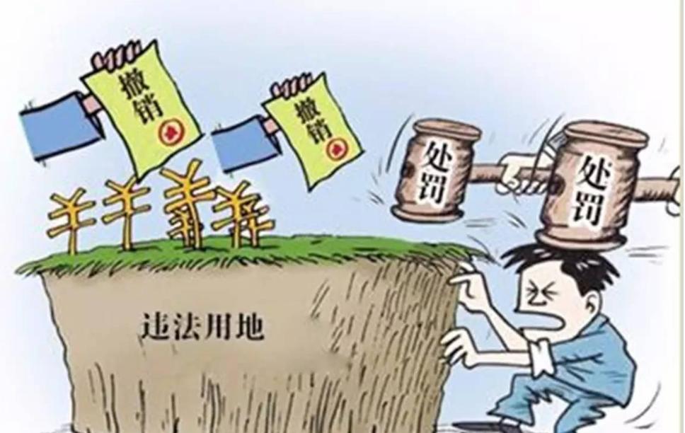 自然资源部通报52起农村乱占耕地建房专项整治行动典型案例(图2)