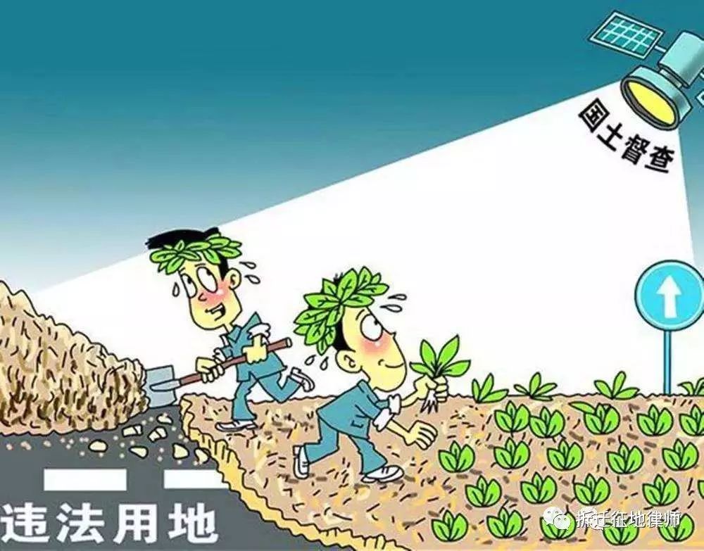 自然资源部通报52起农村乱占耕地建房专项整治行动典型案例(图3)