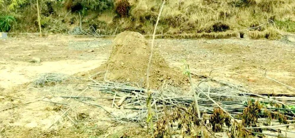 耕地保护与土地开发利用工作领导小组办公室曝光5起乱占耕地建房典型案例(图3)