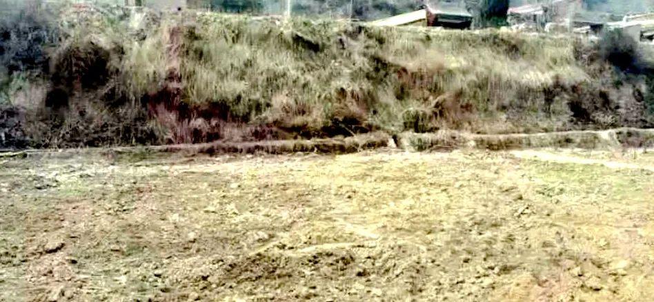 耕地保护与土地开发利用工作领导小组办公室曝光5起乱占耕地建房典型案例(图4)