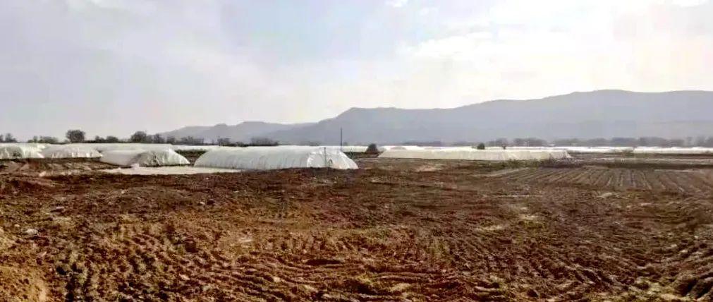 耕地保护与土地开发利用工作领导小组办公室曝光5起乱占耕地建房典型案例(图6)