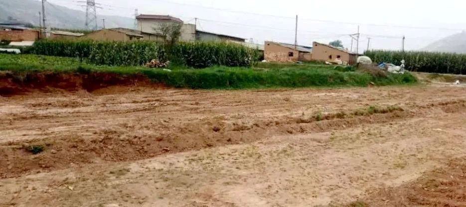 耕地保护与土地开发利用工作领导小组办公室曝光5起乱占耕地建房典型案例(图8)