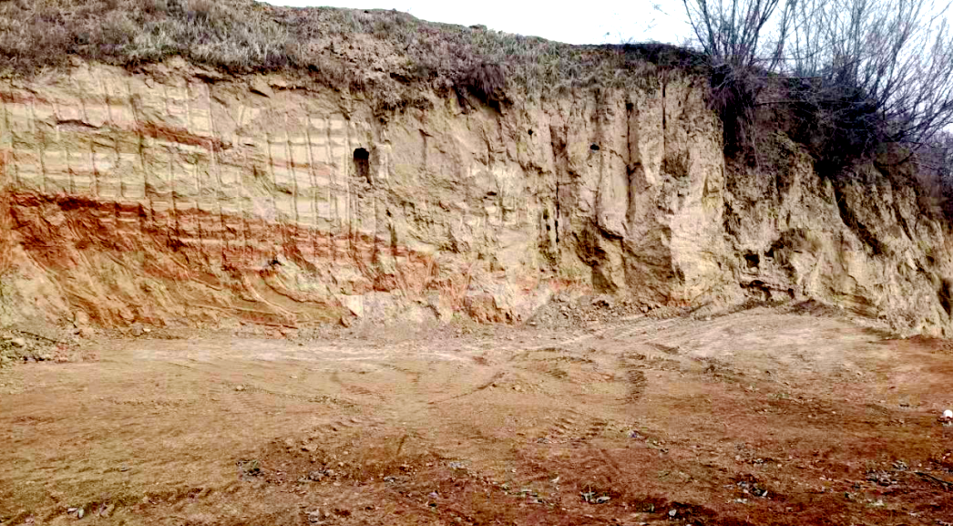 耕地保护与土地开发利用工作领导小组办公室曝光5起乱占耕地建房典型案例(图9)