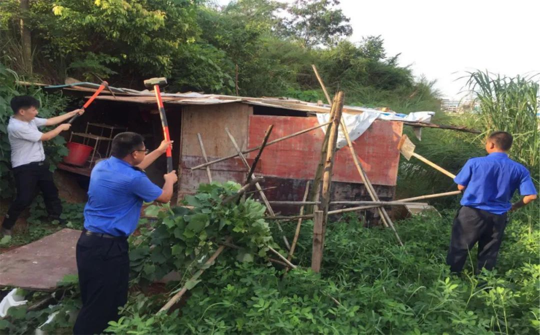 保定市开展违法建设集中整治行动拆除违建609.65万平方米(图4)