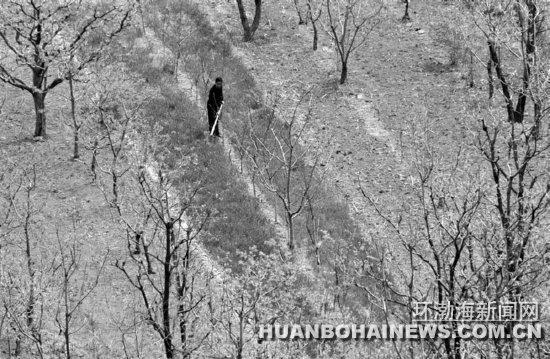 忙碌生活渴望轻松休憩场所遵化地北头镇山谷家庭农场(图1)