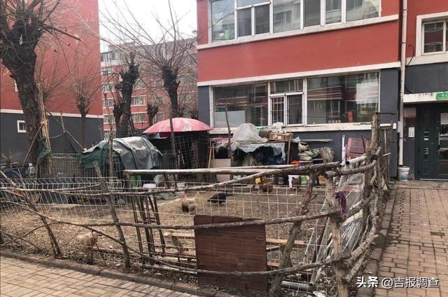 长春净月区金宝街与银安路交会处的小区存在多种问题(图6)