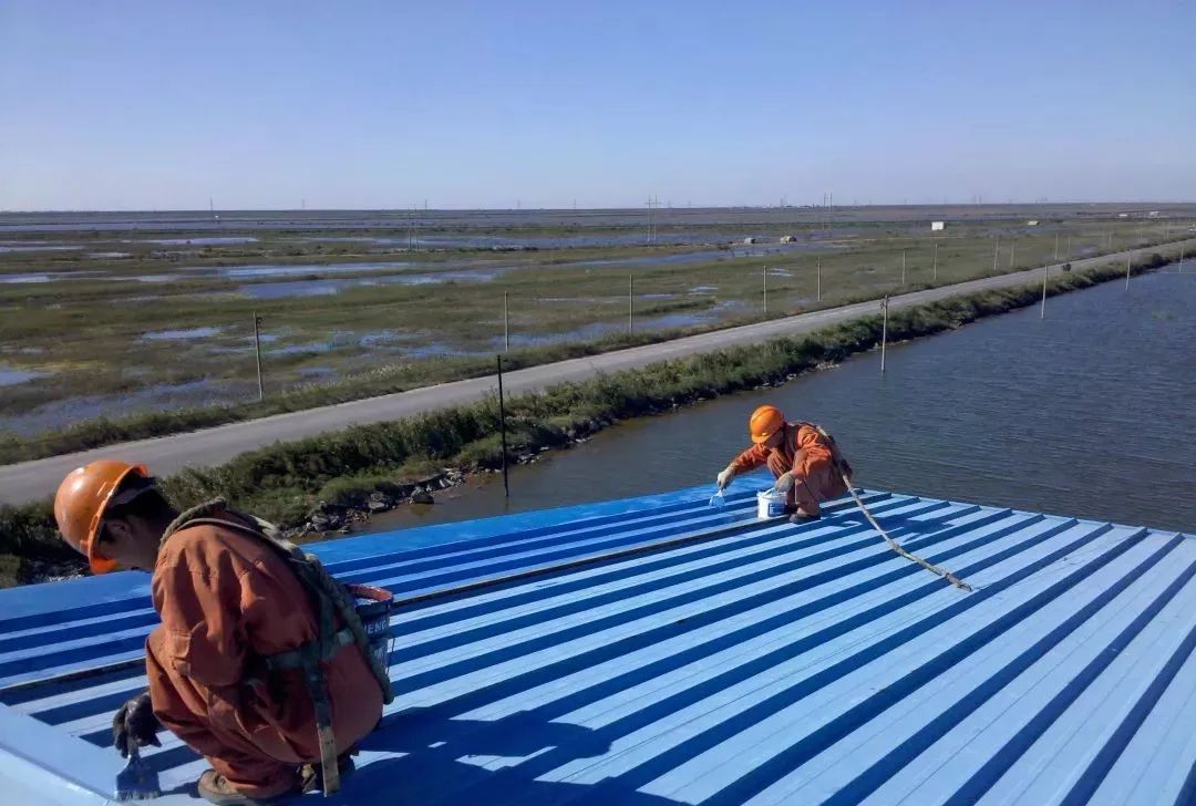 屋顶安装光伏发电，彩钢瓦屋顶业主内心独白：鱼与熊掌兼得(图3)