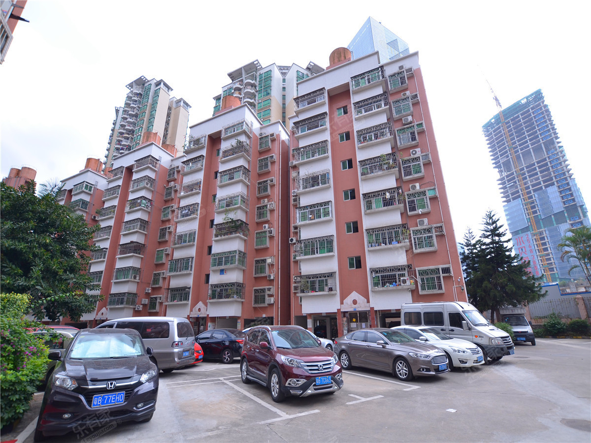 拆房后围挡圈地了事废墟上搭窝棚收废品(图3)