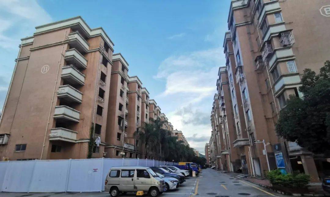 拆房后围挡圈地了事废墟上搭窝棚收废品(图4)