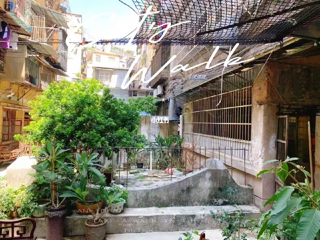 拆房后围挡圈地了事废墟上搭窝棚收废品(图8)