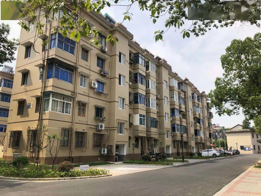 甘肃省静宁县实施南关小学改扩建工程家长整夜排队只为给孩子报名上幼儿园(图2)