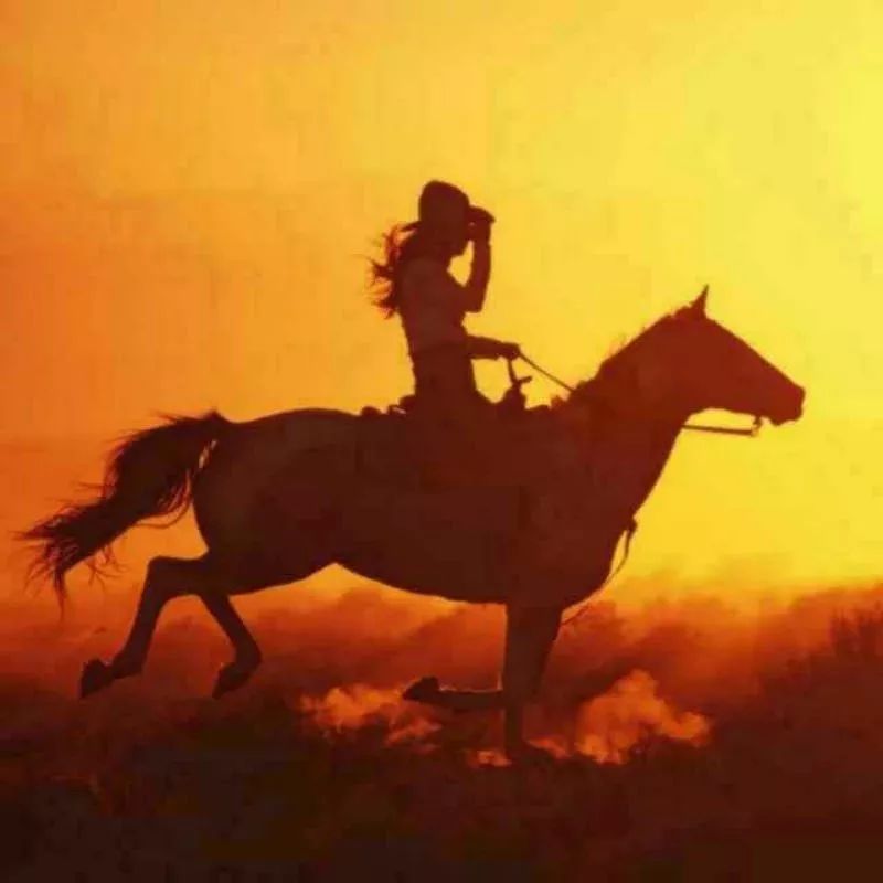 （孙吴公布热点新闻发布|卖向阳土豆五毛钱一斤特别好吃嘎嘎面）(图1)