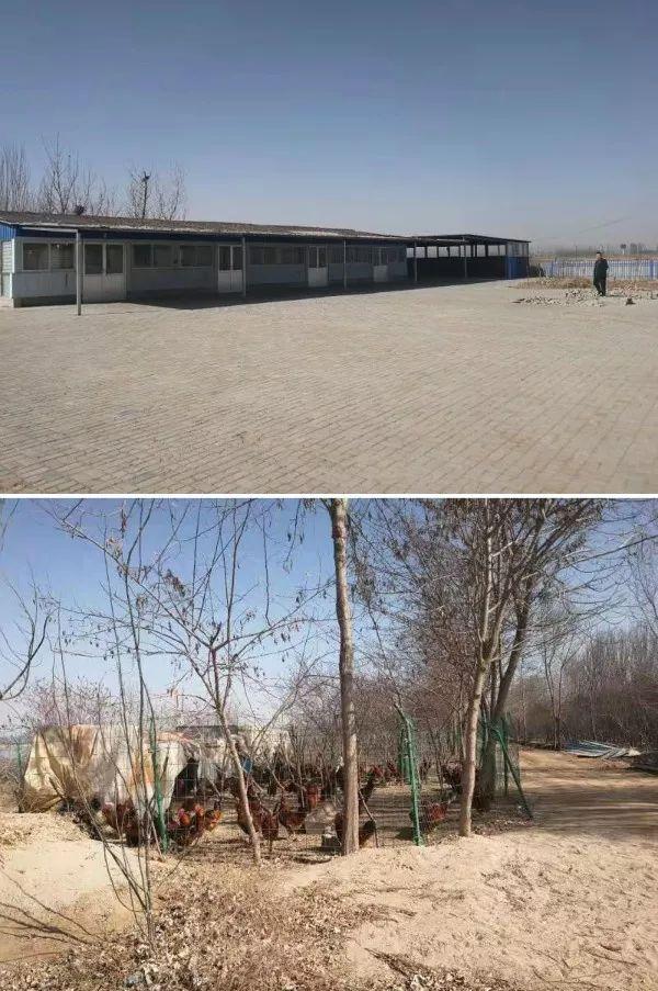 灵武市检察院三份检察建议拆除农家乐保护母亲河(图3)