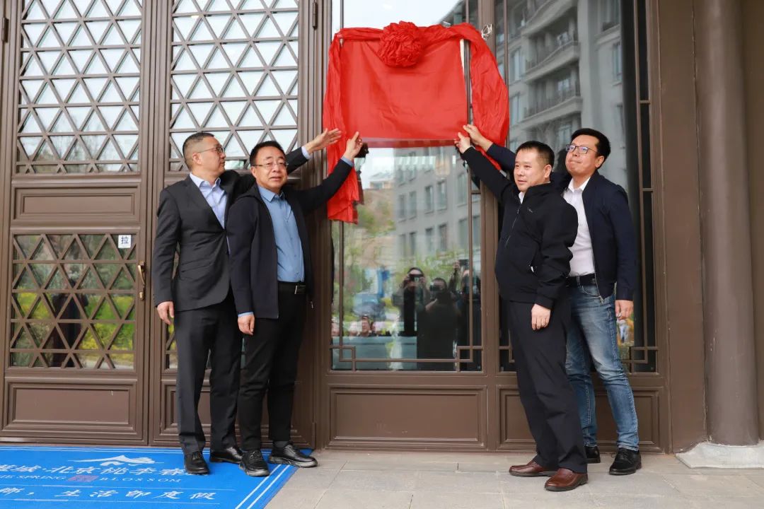 辽宁省沈阳市于洪区政府强制拆除的蘑菇房蘑菇(图7)