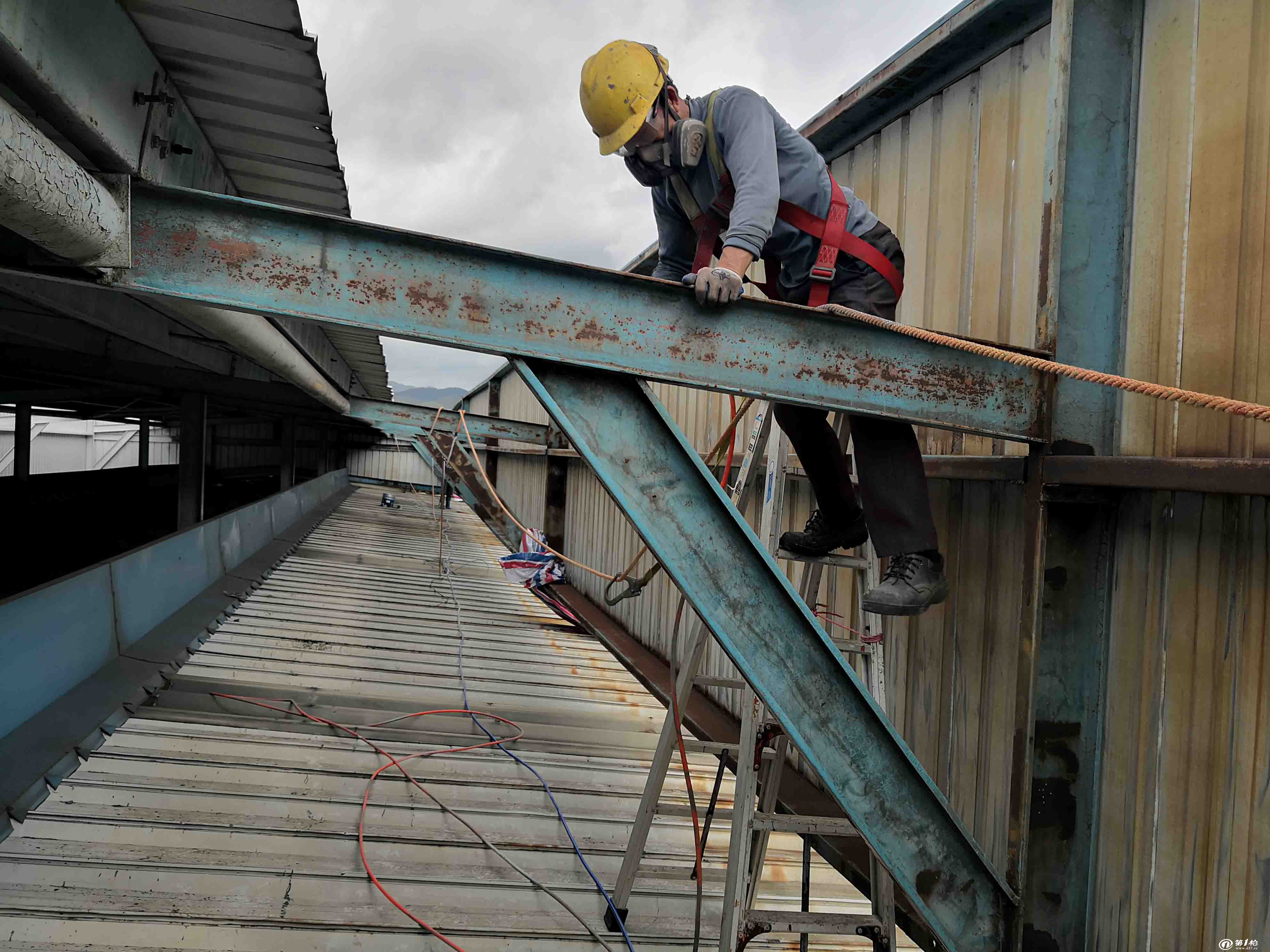 威县王哥彩钢顶翻新专业施工价格亲民(图12)