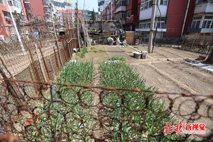 富丰园小区私搭乱建简易房成餐馆后厨(图1)