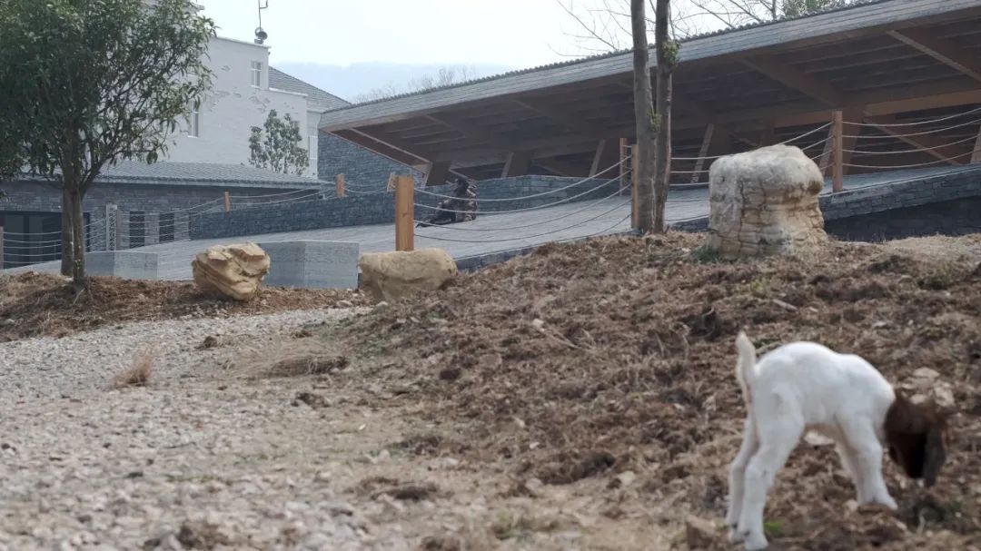 青龙湖水质监测瞭望观景亭鸟瞰图(图11)