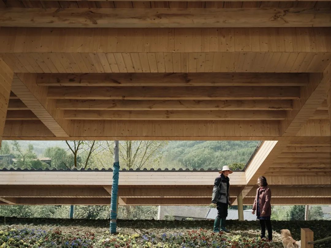 青龙湖水质监测瞭望观景亭鸟瞰图(图14)