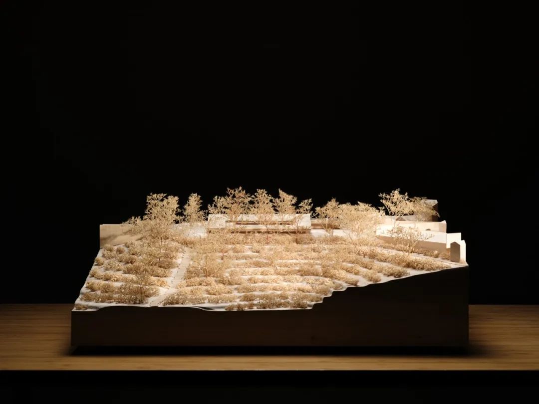 青龙湖水质监测瞭望观景亭鸟瞰图(图16)