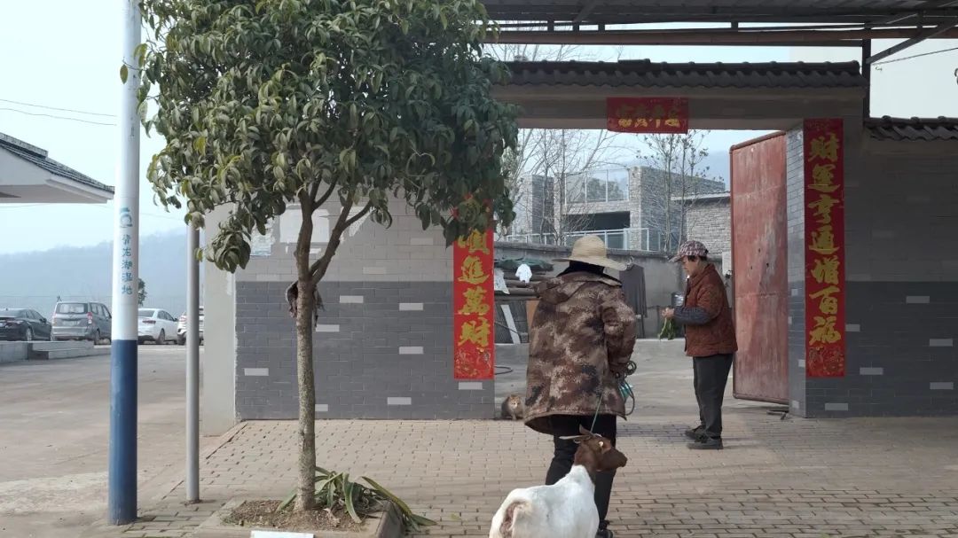 青龙湖水质监测瞭望观景亭鸟瞰图(图3)