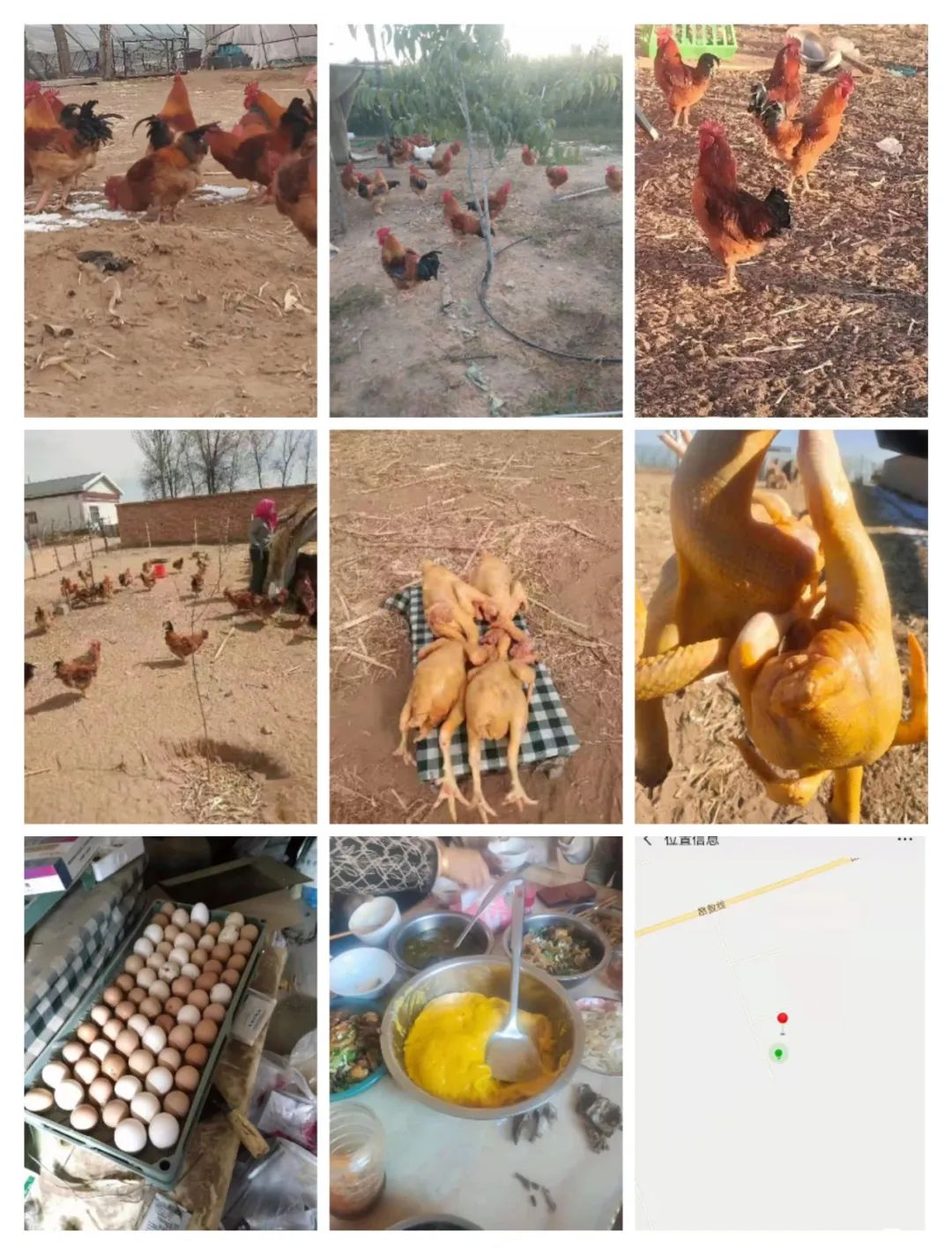 求职招聘高薪招聘一名土建技术员,干过油田相关的工作人员优先(图17)