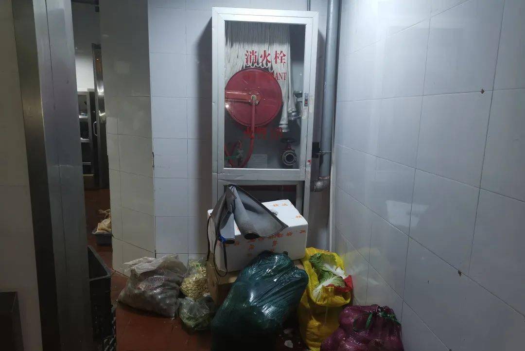 平川大队集中开展彩钢板建筑强制拆除工作(图4)