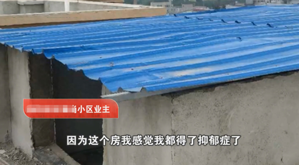 女业主坚称开发商把大家当猴耍，结果……(图4)