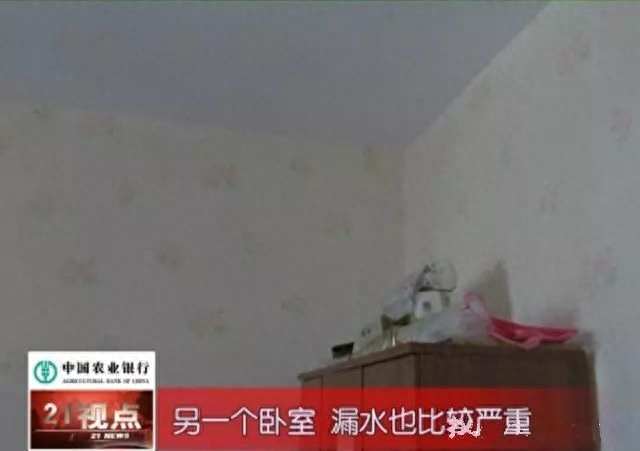 屋顶用彩钢板搭个遮雨棚解决房屋漏水问题(图10)