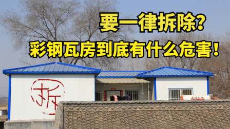 三农创作挑战赛：农村彩钢瓦屋顶遭狂风暴雨袭击(图6)