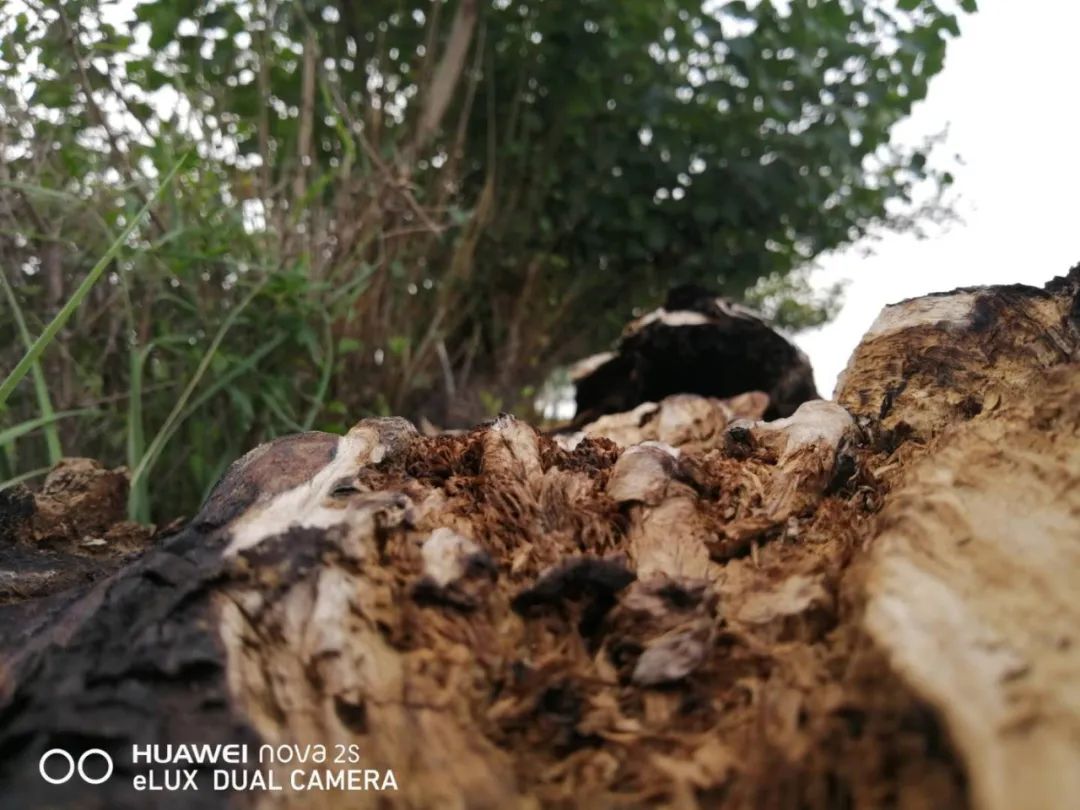 （早出发）独家：呼市一在建工地突发大火(图3)