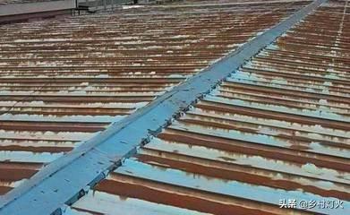 为什么现在农村人家都搭建有彩钢房？原因是什么？(图5)