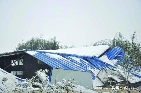 为什么现在农村人家都搭建有彩钢房？原因是什么？(图7)