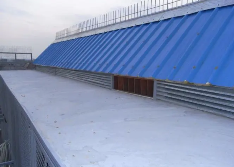 夏日生活打卡季,你敢相信吗?(图1)