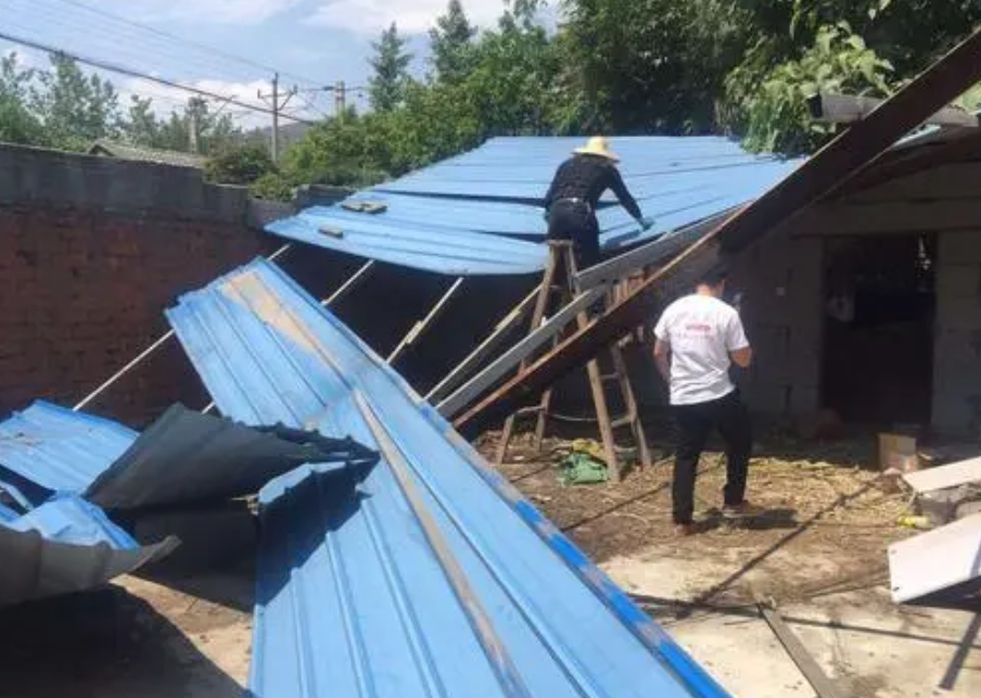 夏日生活打卡季,你敢相信吗?(图2)