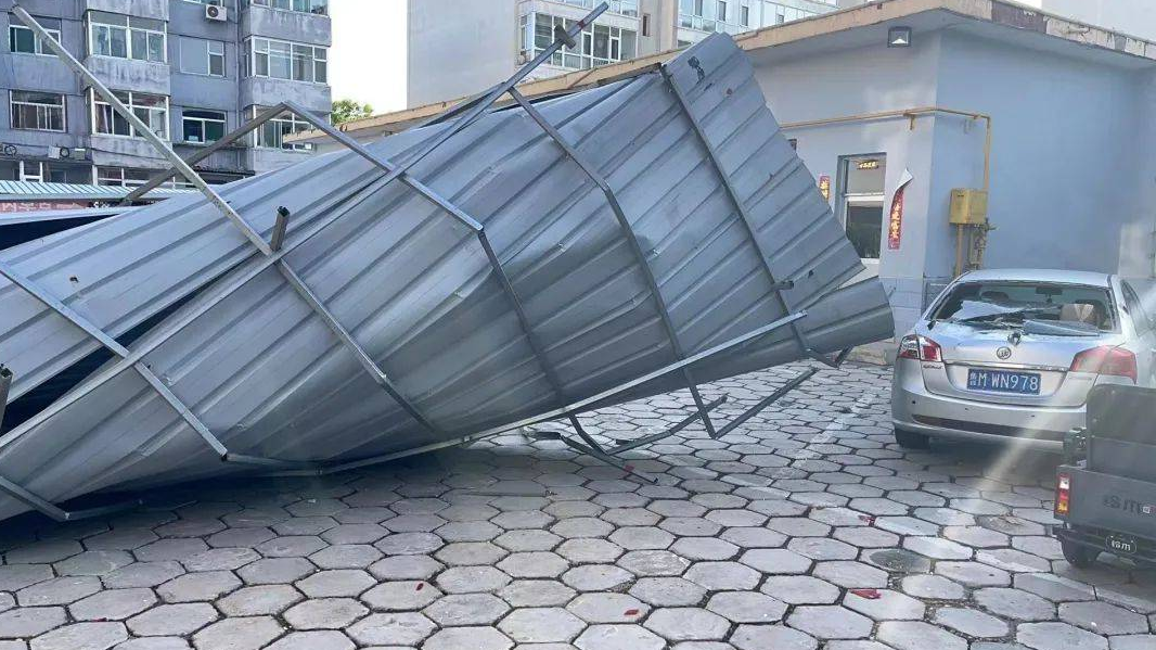 夏日生活打卡季,你敢相信吗?(图3)