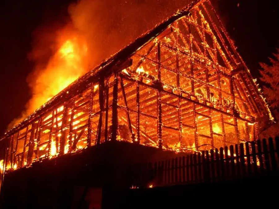 夏日生活打卡季,你敢相信吗?(图4)