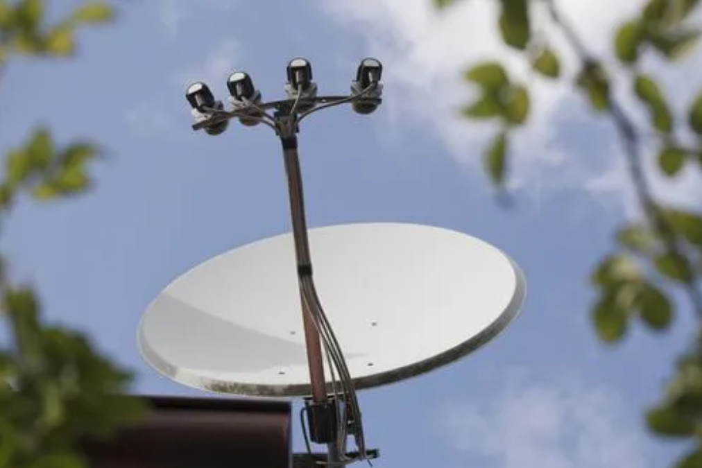 夏日生活打卡季,你敢相信吗?(图5)