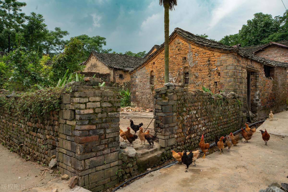 严管农村自建房真的不能建新房子吗？(图4)