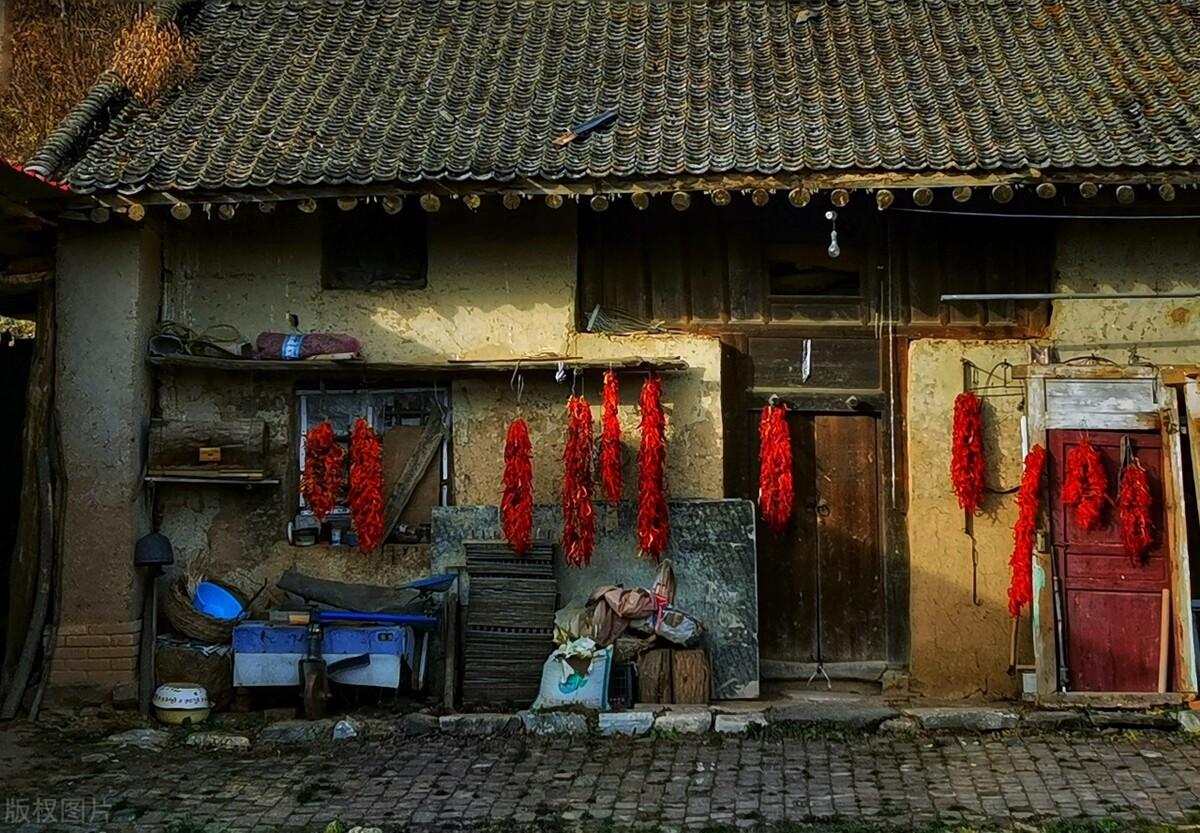 严管农村自建房真的不能建新房子吗？(图8)