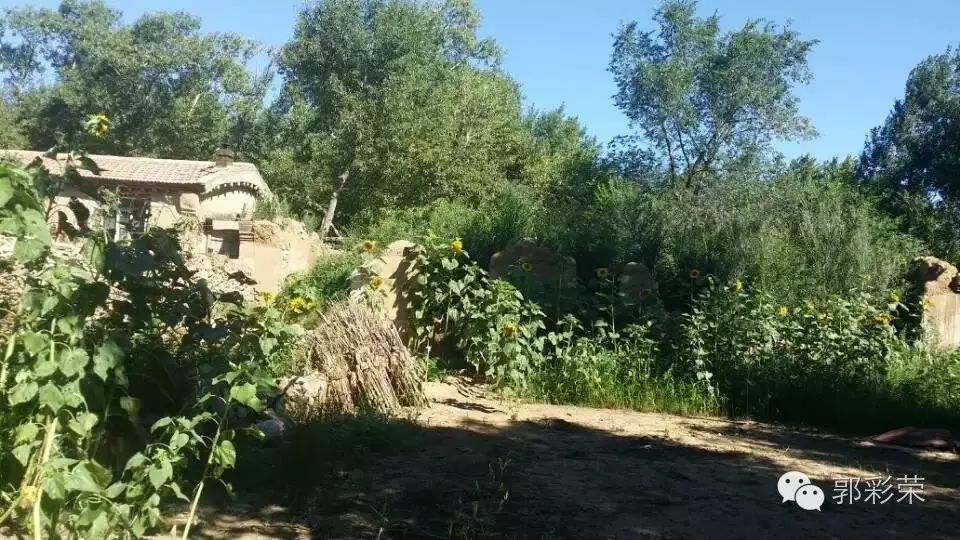 彩钢房拆除补偿多少钱 大青山北麓随处可见的村庄，有很多湮没于这一场整村生态移民的浪潮中(图14)