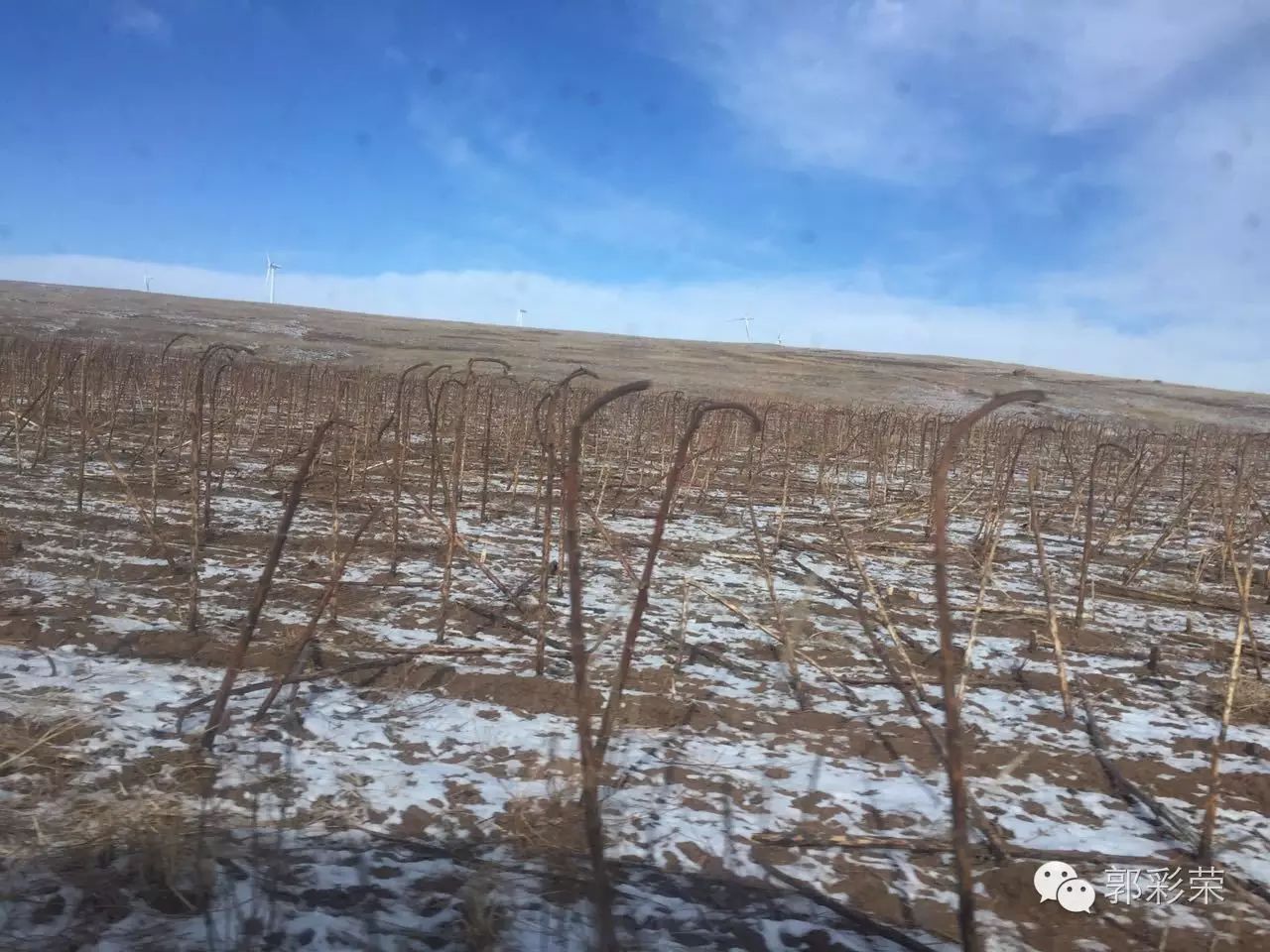彩钢房拆除补偿多少钱 大青山北麓随处可见的村庄，有很多湮没于这一场整村生态移民的浪潮中(图36)