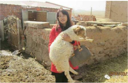 彩钢房拆除补偿多少钱 大青山北麓随处可见的村庄，有很多湮没于这一场整村生态移民的浪潮中(图10)