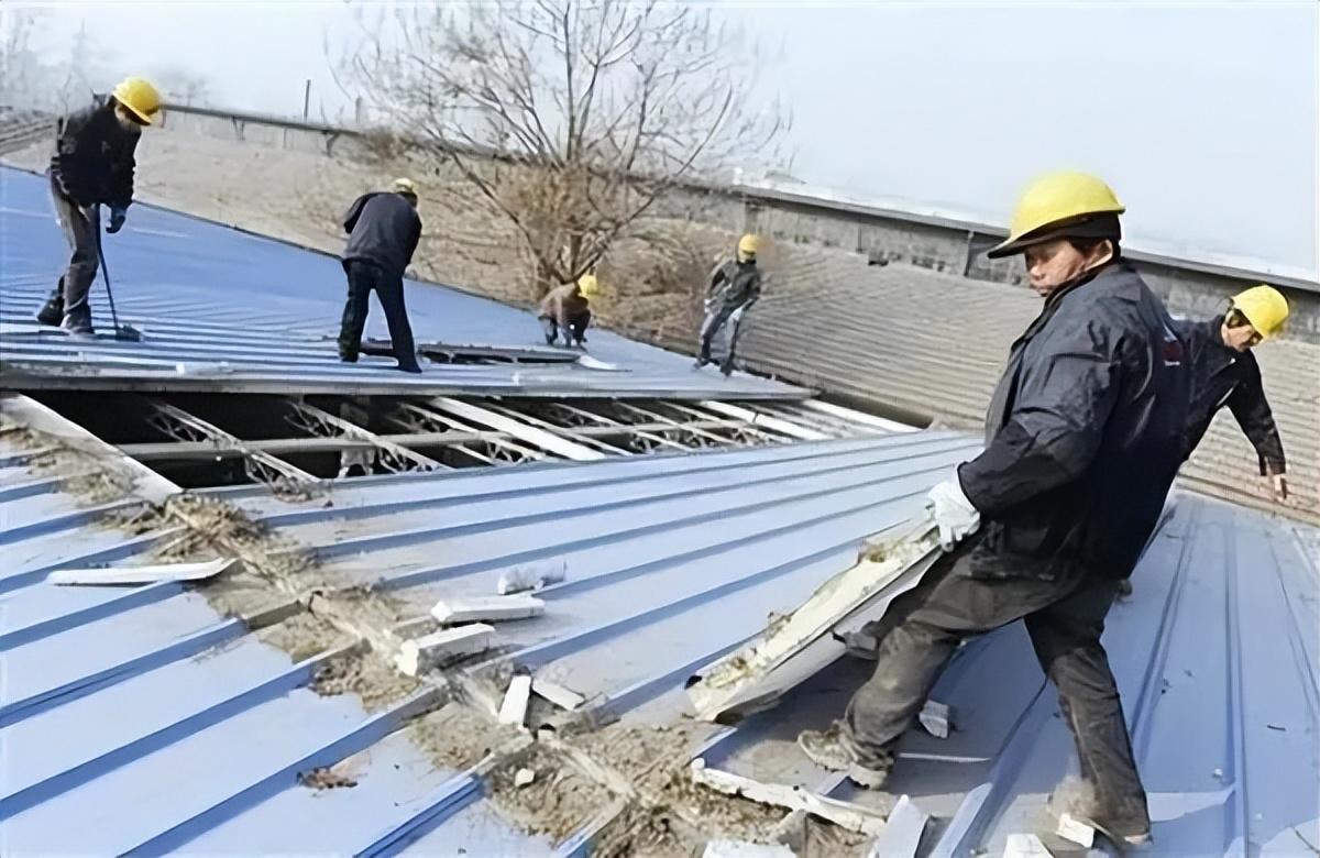 农村彩钢瓦房非拆不可背后的真相是什么？(图1)