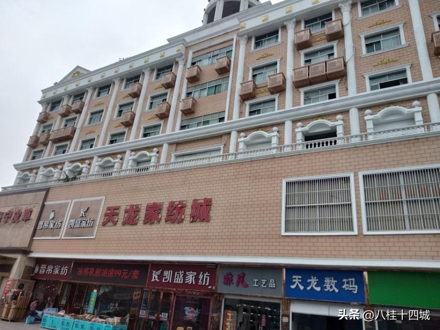 泰州天龙大厦第十三次拍卖起拍价3166.4849万元万元(图3)