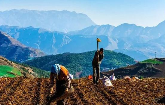 农村自建房风险隐患排查工作启动，你准备好了吗？(图1)