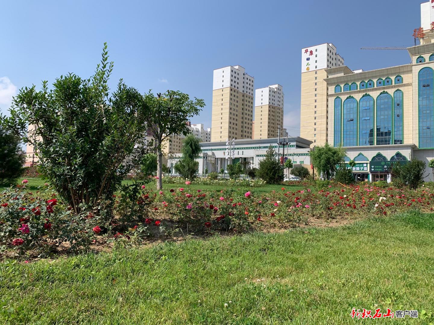 我县扎实推进县城风貌改造及美化亮化项目建设工作(图12)