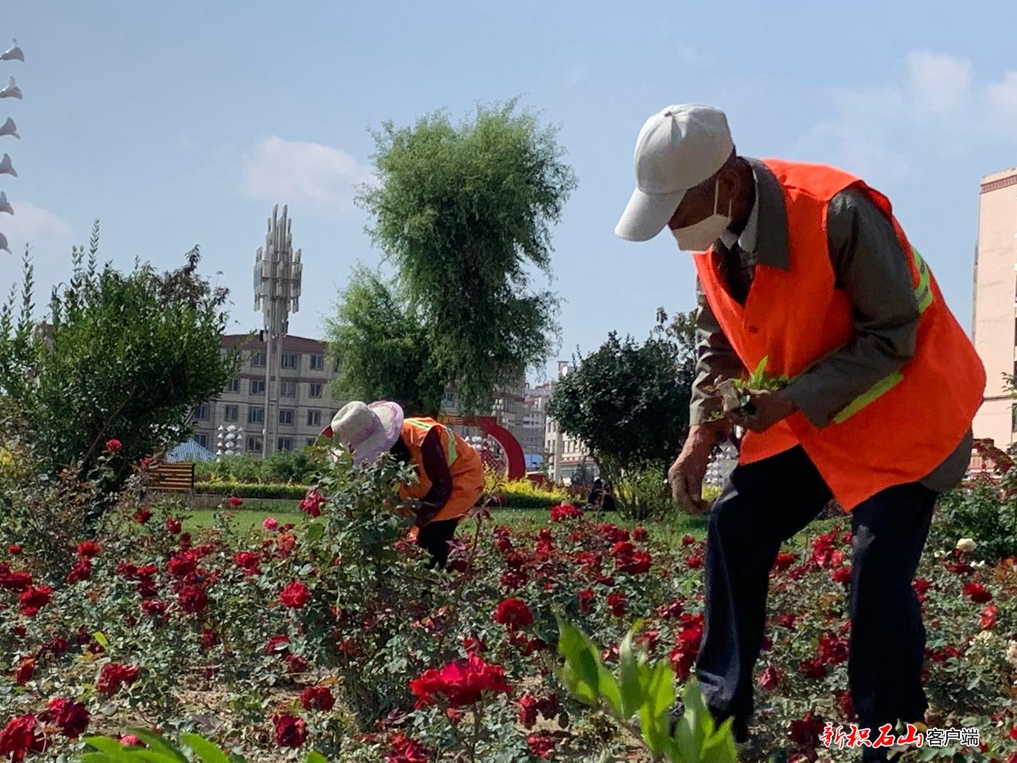 我县扎实推进县城风貌改造及美化亮化项目建设工作(图14)