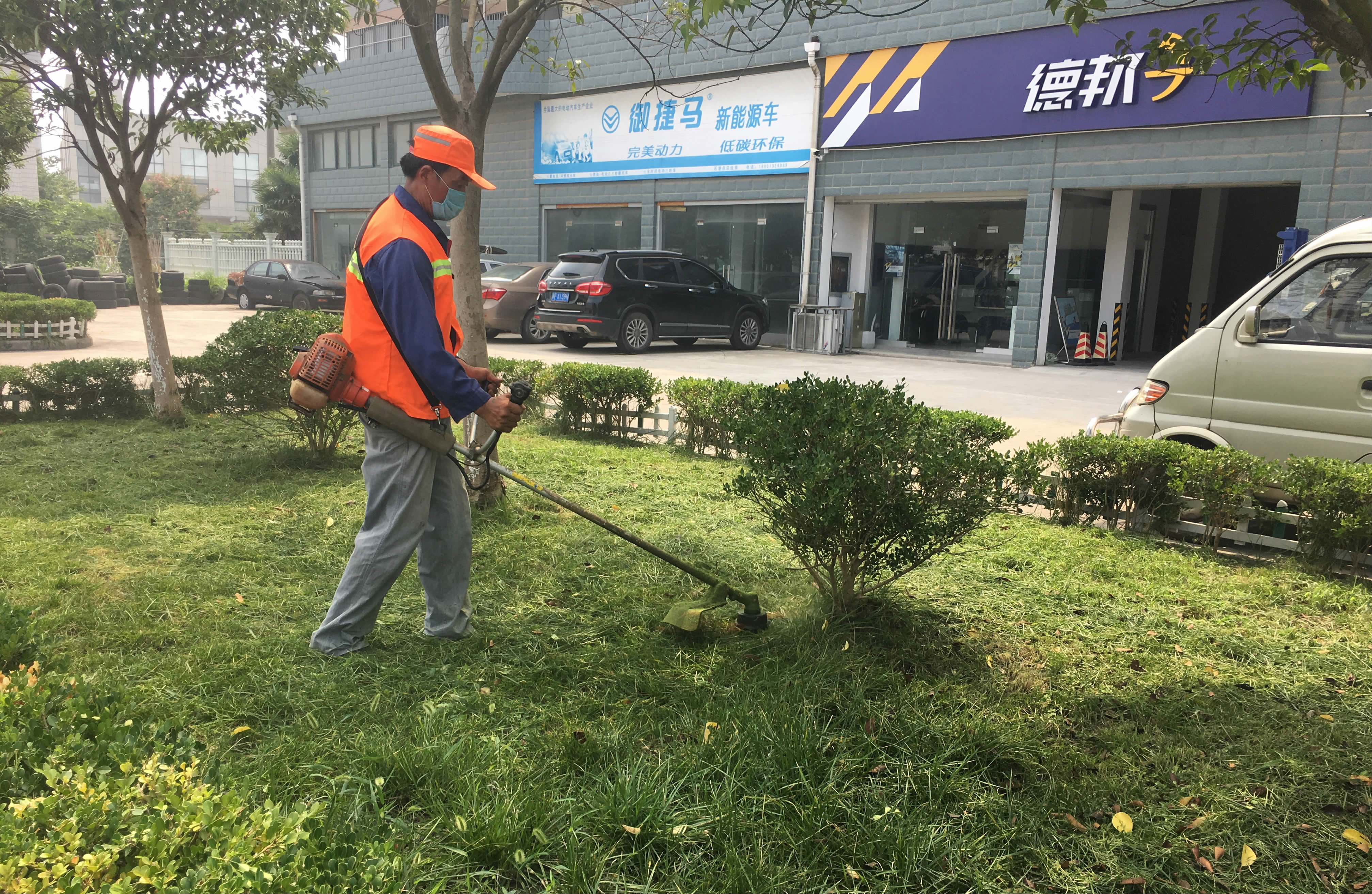 我县扎实推进县城风貌改造及美化亮化项目建设工作(图5)